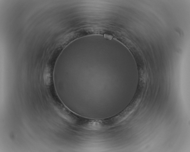 X0000113180080200909041352