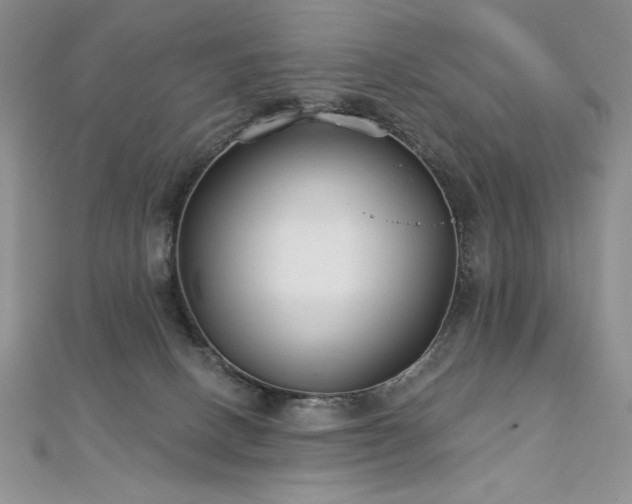 X0000113180082200909041352