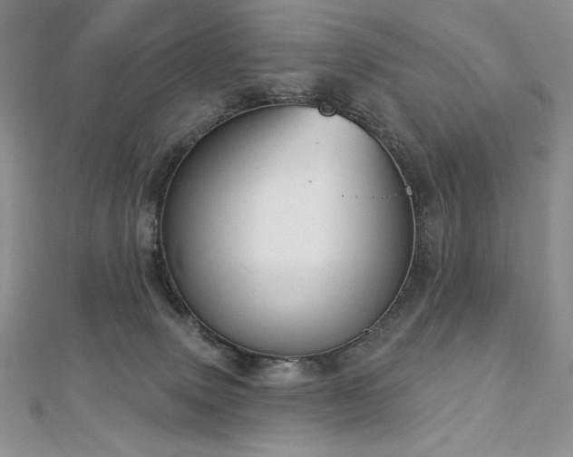 X0000113180083200909041352