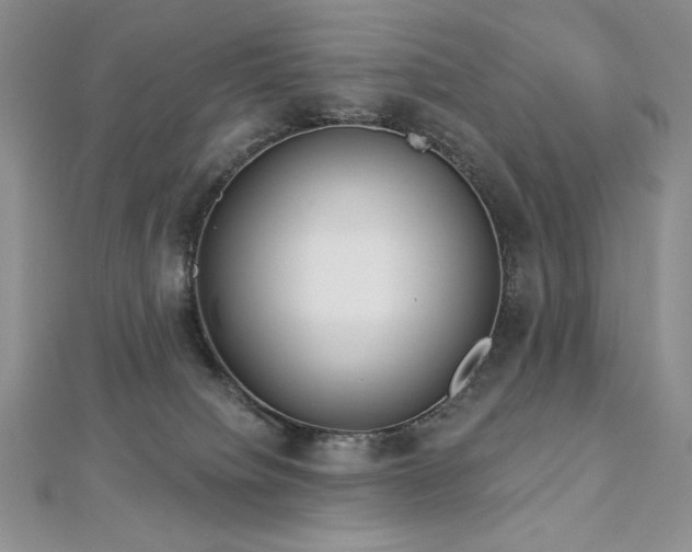 X0000113180084200909041352