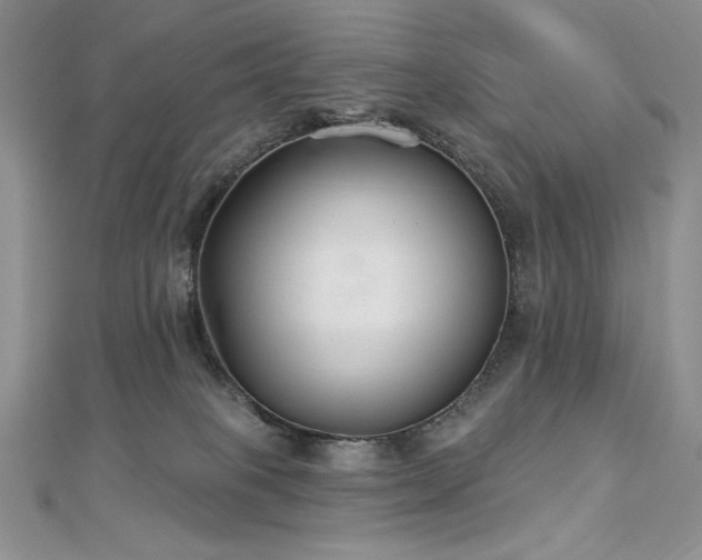 X0000113180085200909041352