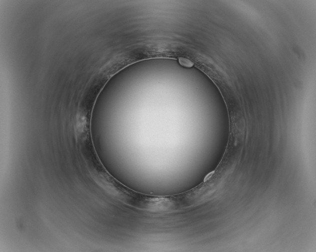 X0000113180087200909041352