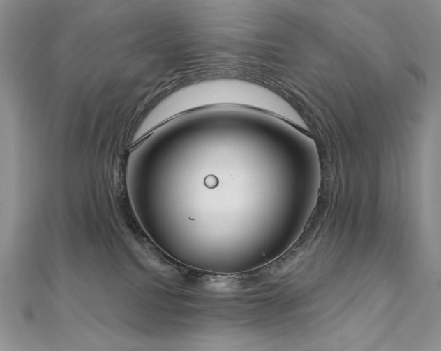 X0000113180088200909041352