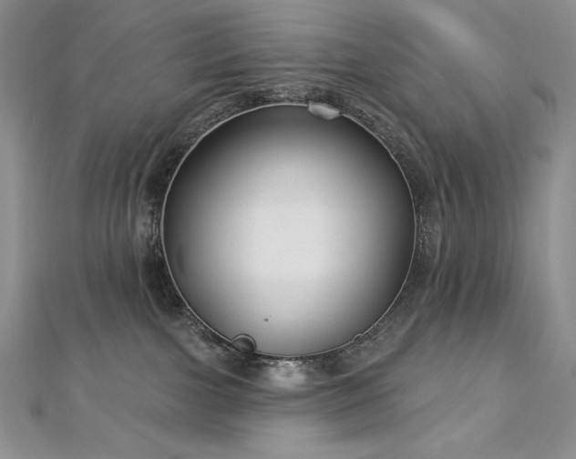 X0000113180091200909041352