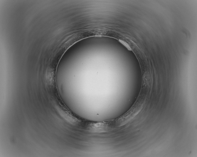 X0000113180092200909041352