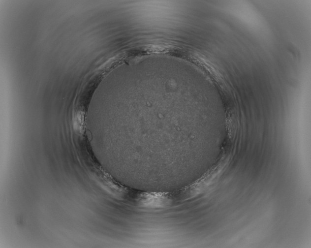 X0000113180093200909041352