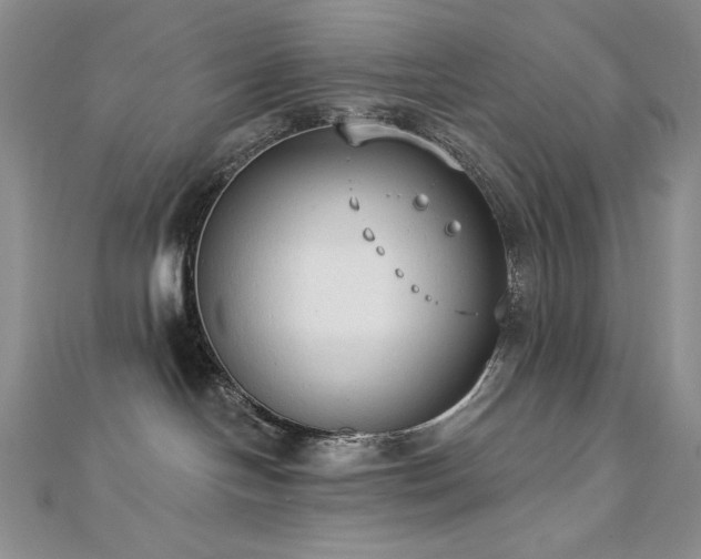 X0000113180094200909041352