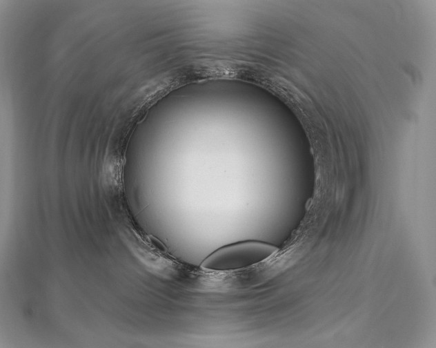 X0000113180096200909041352