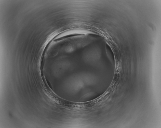 X0000113180099200909041351