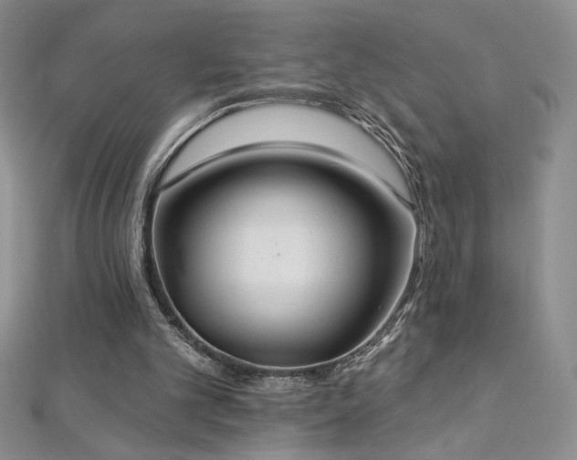 X0000113180101200909041351