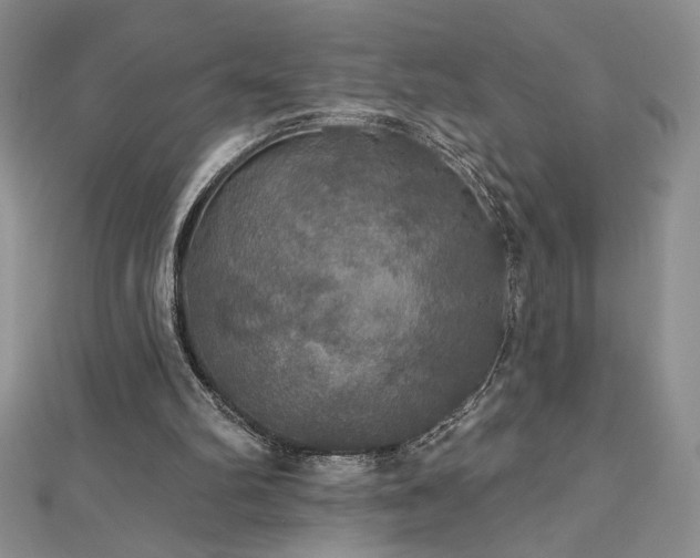 X0000113180102200909041351