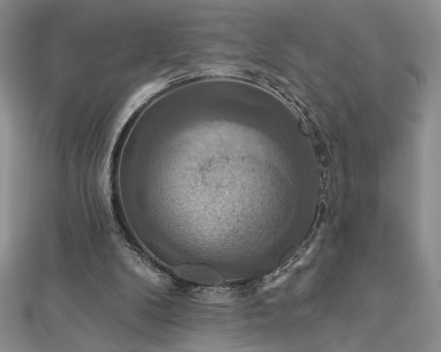 X0000113180104200909041351