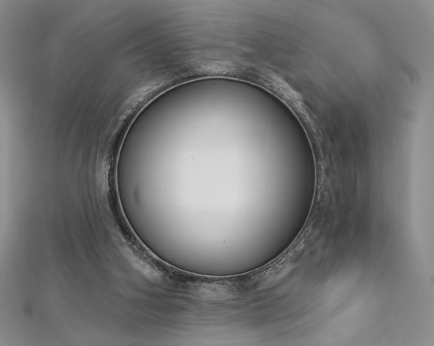 X0000113180106200909041351