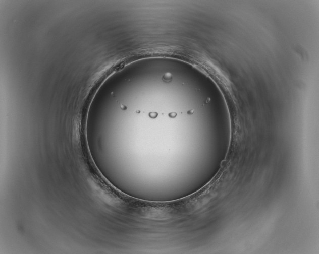 X0000113180107200909041351