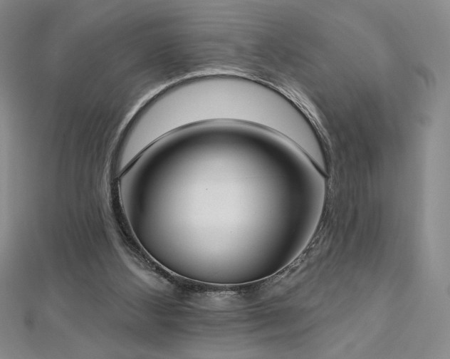 X0000113180108200909041351