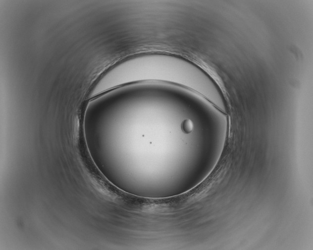 X0000113180109200909041351