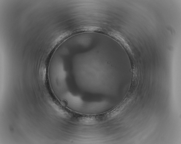 X0000113180110200909041351