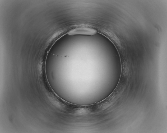 X0000113180111200909041351