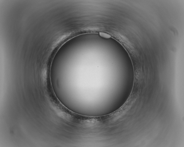 X0000113180112200909041351