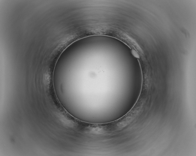 X0000113180113200909041351