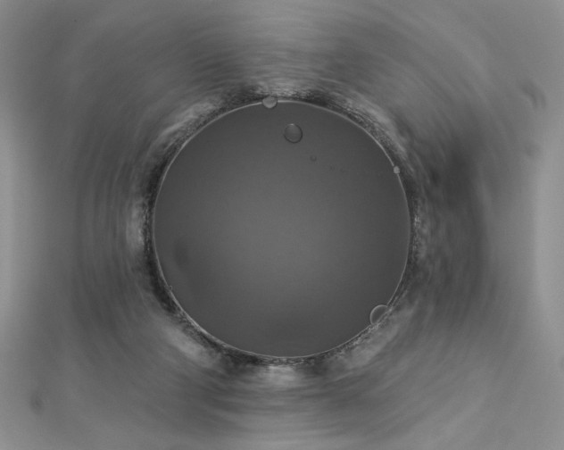 X0000113180114200909041351