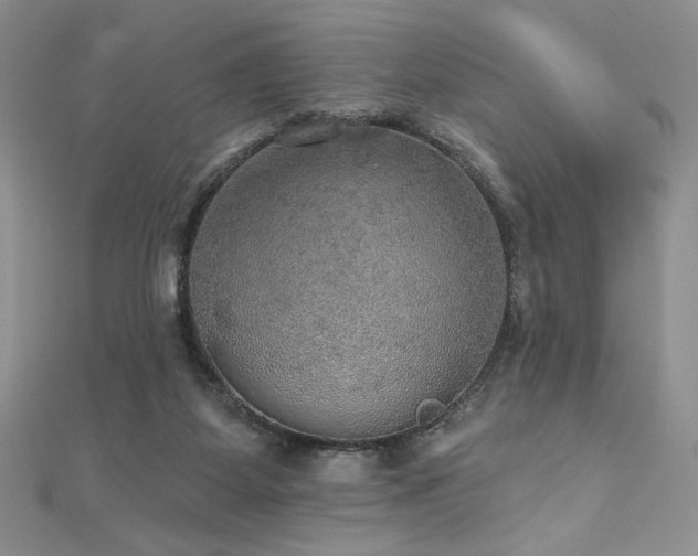 X0000113180115200909041351
