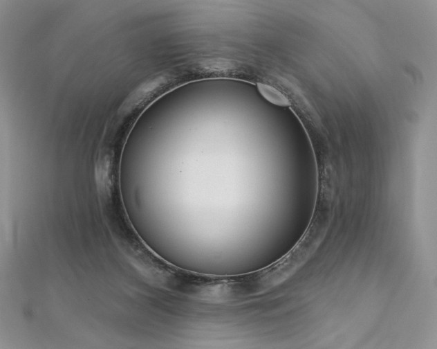 X0000113180116200909041351