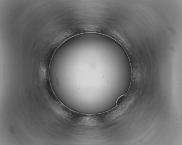 X0000113180117200909041351