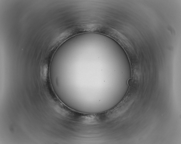 X0000113180118200909041351
