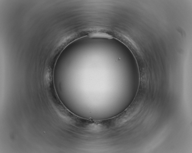 X0000113180119200909041351