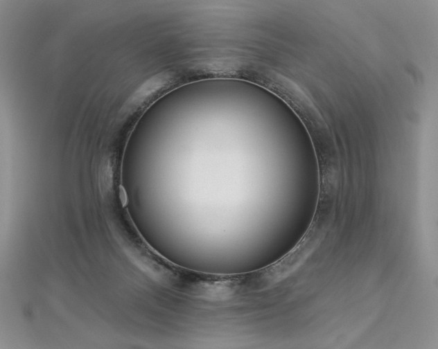 X0000113180120200909041351