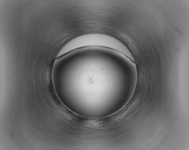 X0000113180121200909041351