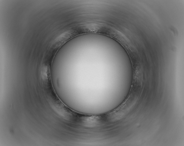 X0000113180122200909041351