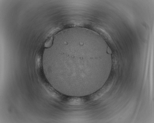 X0000113180123200909041351