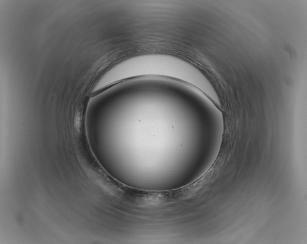 X0000113180124200909041351