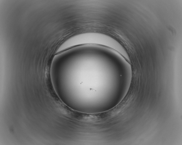 X0000113180125200909041351