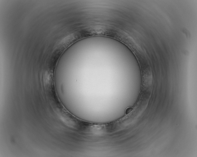 X0000113180126200909041351