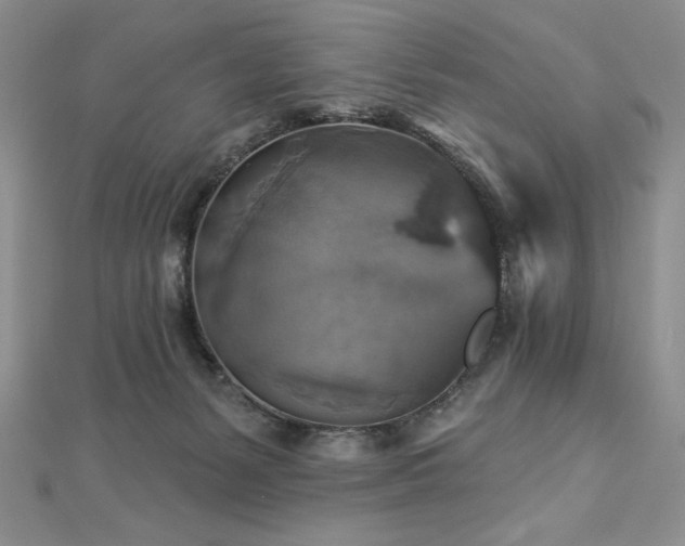 X0000113180127200909041351