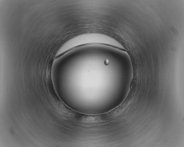 X0000113180129200909041351