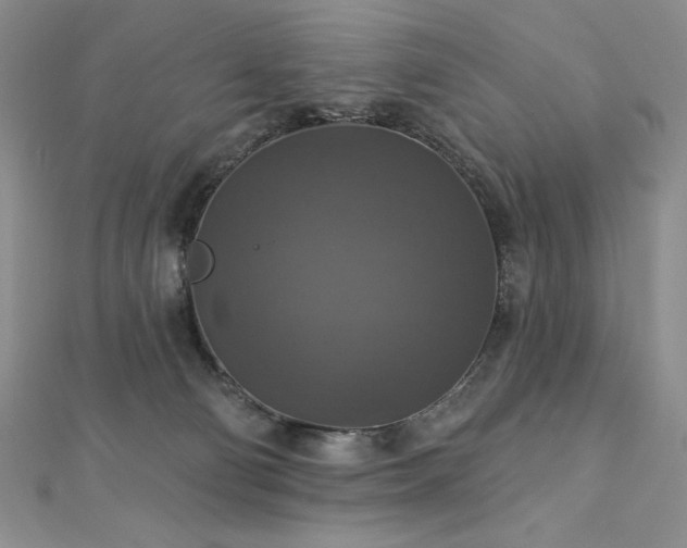 X0000113180130200909041351