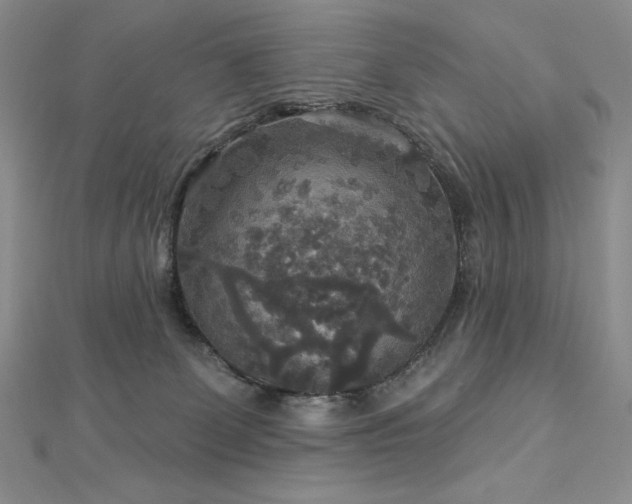 X0000113180131200909041351