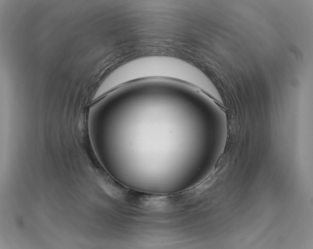 X0000113180132200909041351