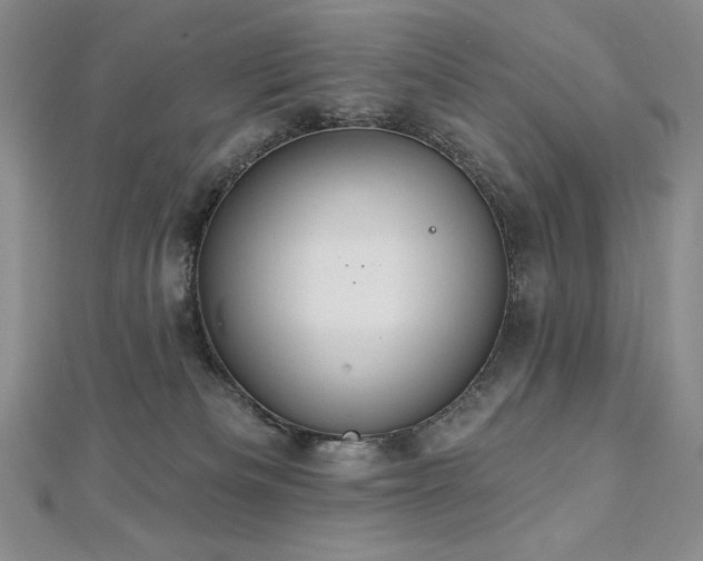 X0000113180133200909041351