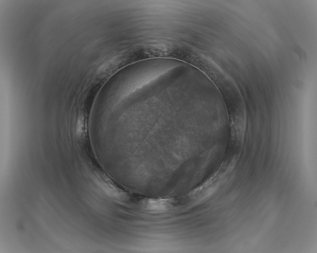 X0000113180134200909041351