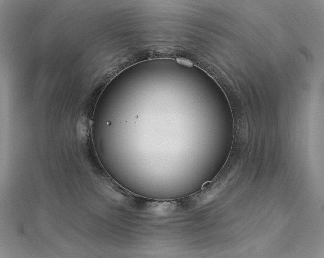 X0000113180135200909041351