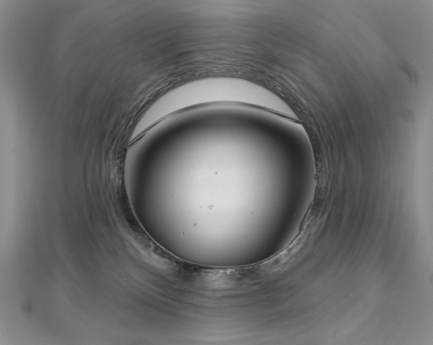 X0000113180136200909041351