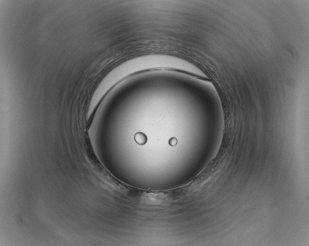 X0000113180137200909041351