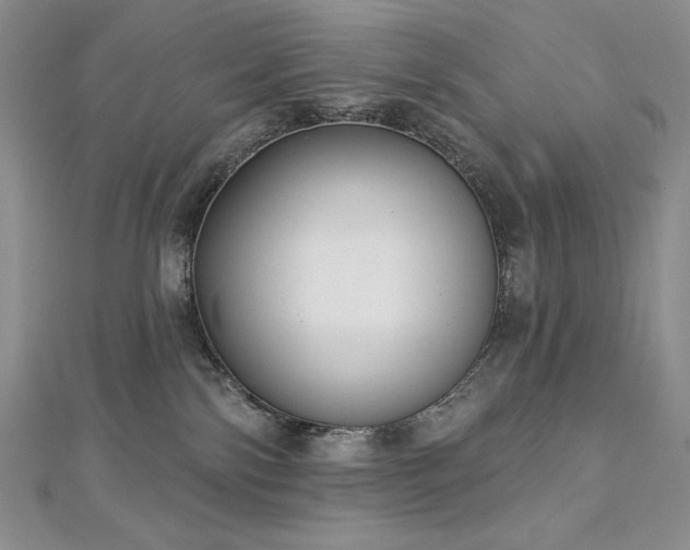 X0000113180138200909041351