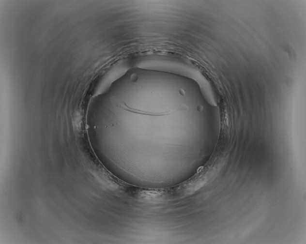 X0000113180139200909041351