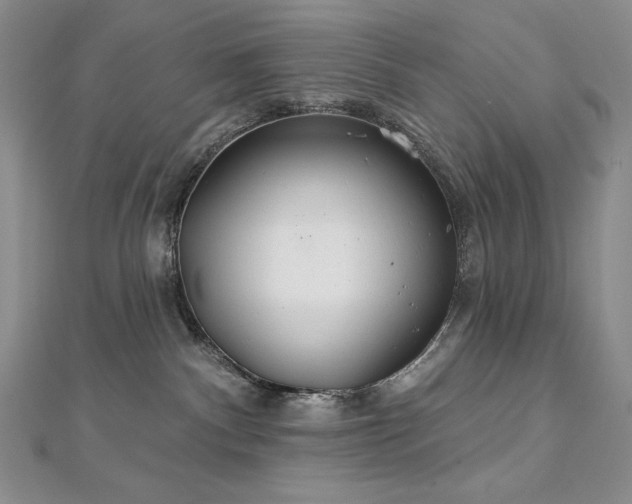 X0000113180140200909041351